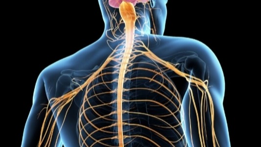Немедикаментозная терапия атаксии